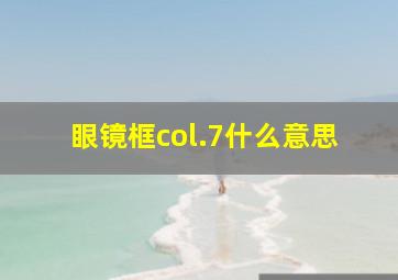 眼镜框col.7什么意思