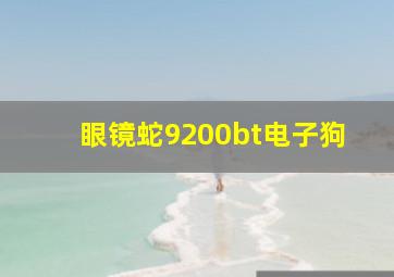 眼镜蛇9200bt电子狗