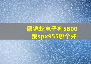 眼镜蛇电子狗5800跟spx955哪个好