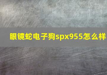 眼镜蛇电子狗spx955怎么样