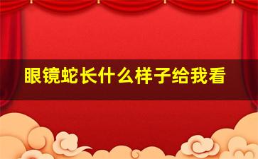 眼镜蛇长什么样子给我看