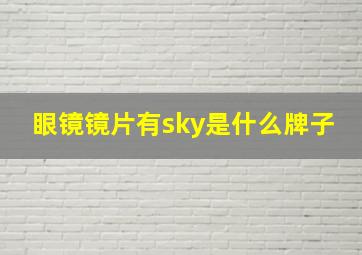 眼镜镜片有sky是什么牌子