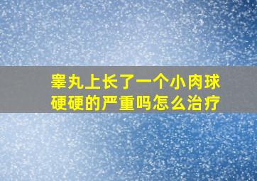 睾丸上长了一个小肉球硬硬的严重吗怎么治疗