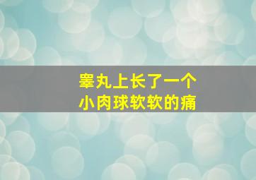 睾丸上长了一个小肉球软软的痛