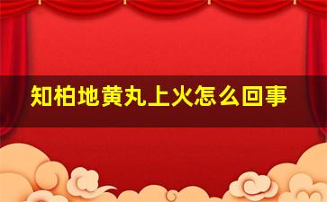 知柏地黄丸上火怎么回事