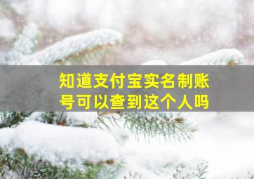 知道支付宝实名制账号可以查到这个人吗