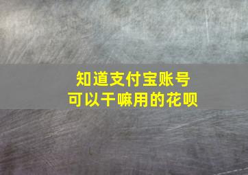 知道支付宝账号可以干嘛用的花呗