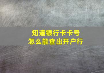 知道银行卡卡号怎么能查出开户行