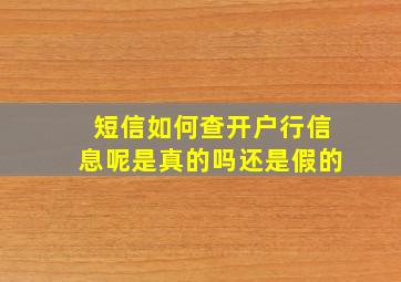 短信如何查开户行信息呢是真的吗还是假的