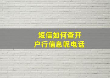 短信如何查开户行信息呢电话