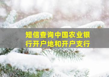 短信查询中国农业银行开户地和开户支行