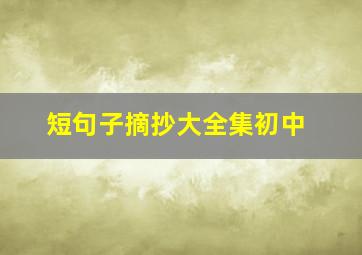 短句子摘抄大全集初中