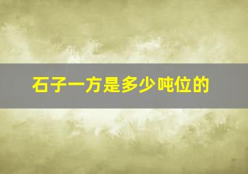 石子一方是多少吨位的