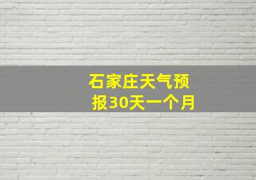 石家庄天气预报30天一个月