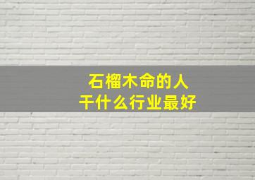 石榴木命的人干什么行业最好