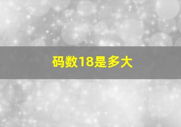 码数18是多大