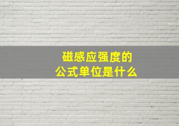 磁感应强度的公式单位是什么