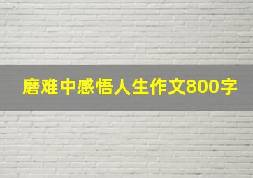 磨难中感悟人生作文800字