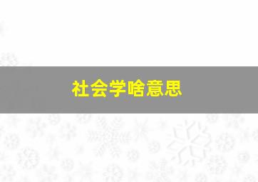 社会学啥意思