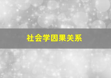 社会学因果关系