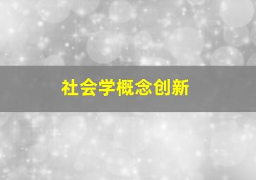 社会学概念创新