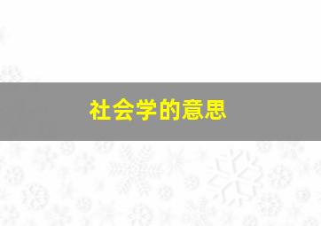 社会学的意思