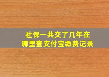 社保一共交了几年在哪里查支付宝缴费记录