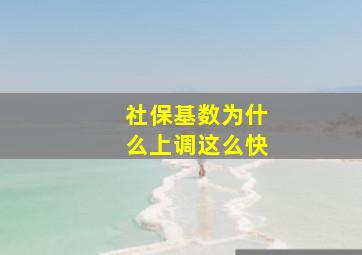 社保基数为什么上调这么快