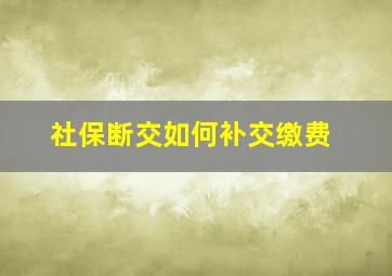 社保断交如何补交缴费