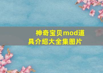 神奇宝贝mod道具介绍大全集图片