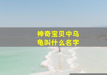 神奇宝贝中乌龟叫什么名字