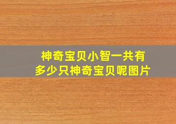 神奇宝贝小智一共有多少只神奇宝贝呢图片