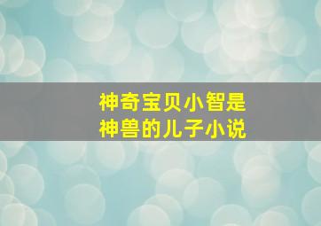 神奇宝贝小智是神兽的儿子小说