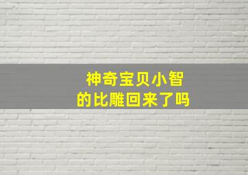 神奇宝贝小智的比雕回来了吗