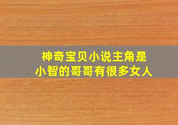 神奇宝贝小说主角是小智的哥哥有很多女人