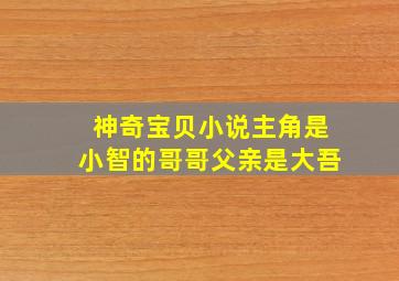 神奇宝贝小说主角是小智的哥哥父亲是大吾