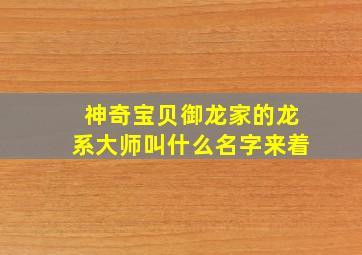 神奇宝贝御龙家的龙系大师叫什么名字来着