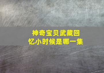 神奇宝贝武藏回忆小时候是哪一集