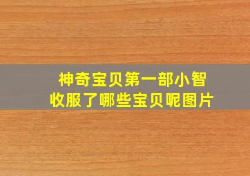 神奇宝贝第一部小智收服了哪些宝贝呢图片