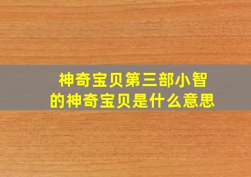 神奇宝贝第三部小智的神奇宝贝是什么意思