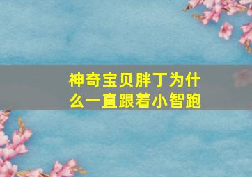 神奇宝贝胖丁为什么一直跟着小智跑