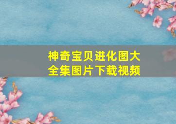 神奇宝贝进化图大全集图片下载视频