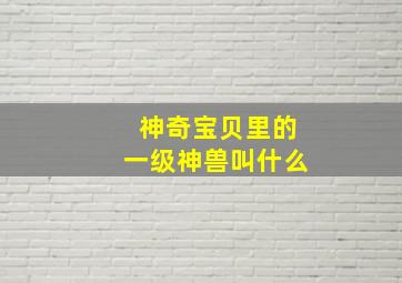 神奇宝贝里的一级神兽叫什么