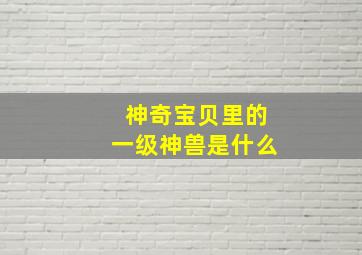 神奇宝贝里的一级神兽是什么