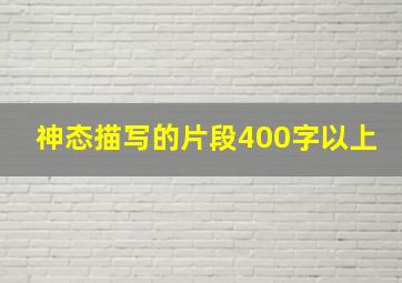 神态描写的片段400字以上