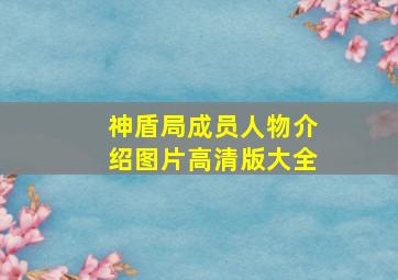 神盾局成员人物介绍图片高清版大全