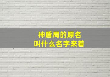 神盾局的原名叫什么名字来着