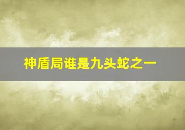 神盾局谁是九头蛇之一