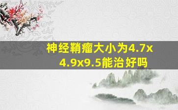 神经鞘瘤大小为4.7x4.9x9.5能治好吗