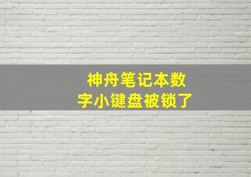 神舟笔记本数字小键盘被锁了